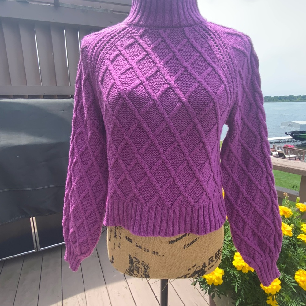 American Eagle Size Small Raspberry Chunky Knit Sweater